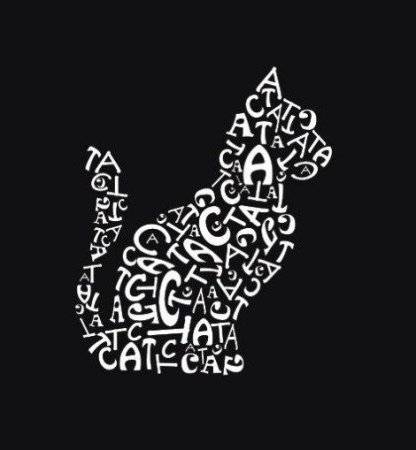 Шрифтовая композиция из букв