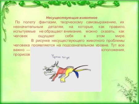 Несуществующее имя животному