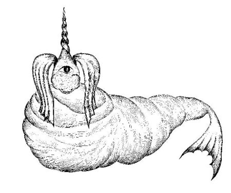 Рисунки неизвестных животных