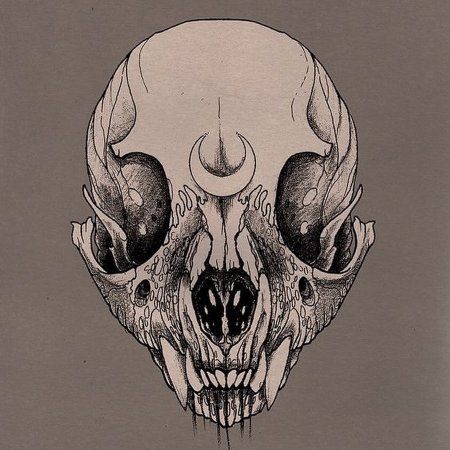 Черепа животных тату