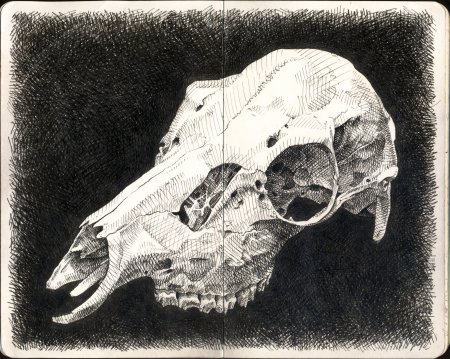 Генрих Монмутский череп