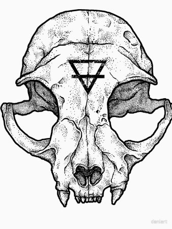 Череп кошки тату