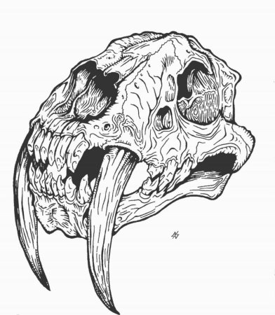 Череп тату эскиз