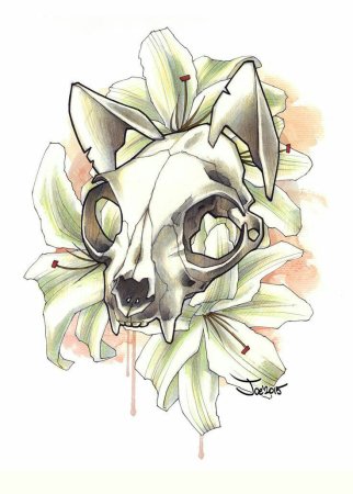 Череп кошки