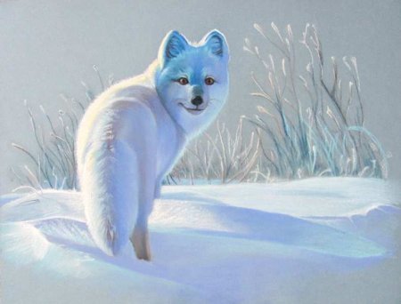 Зимние животные живопись