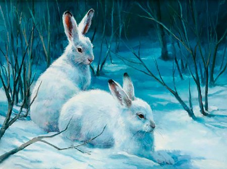 Заяц Беляк картина