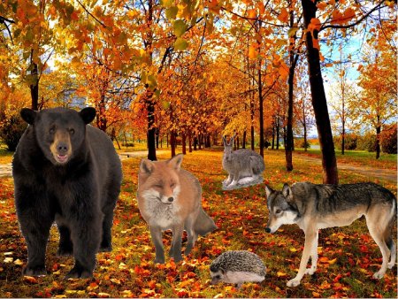 Животные осенью в лесу