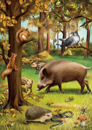 Жители леса