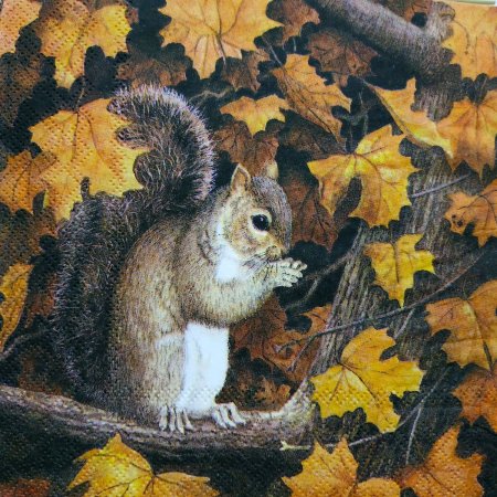 Картина белки осенью