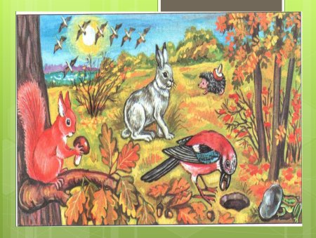 Животные готовятся к зиме