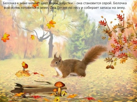 Осенний лес с животными для детей