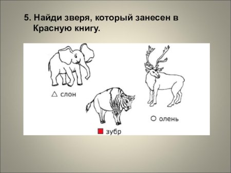 Животные и растения красной книги