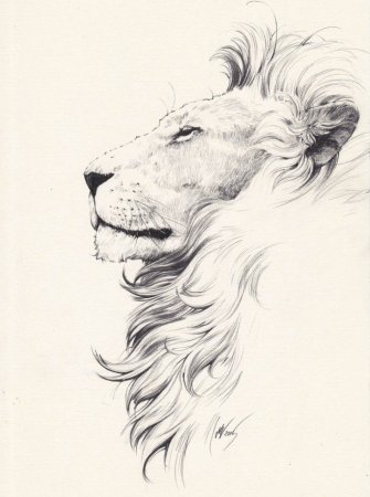 Лев Графика
