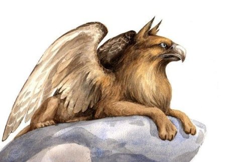 Кейтонг Грифон