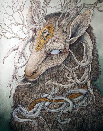 Caitlin Hackett животные