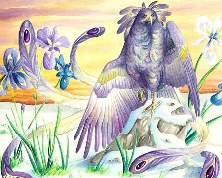 Рисование фантастических птиц