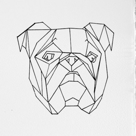 Животные геометрия