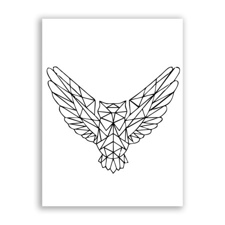 Сова геометрия