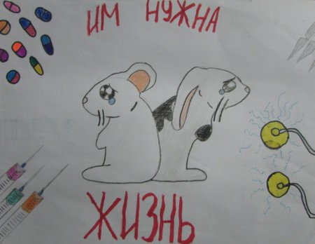 Плакат в защиту животным