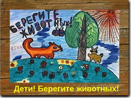 Плакат берегите животных