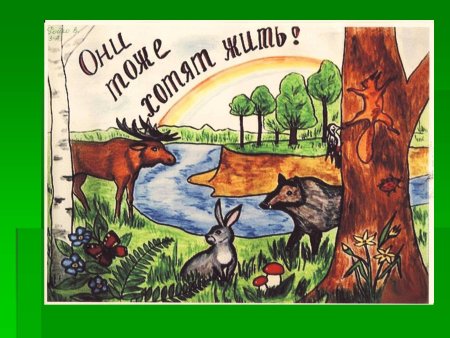 Плакат Защитим животных