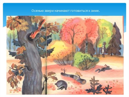 Рисунок осеннего края детский