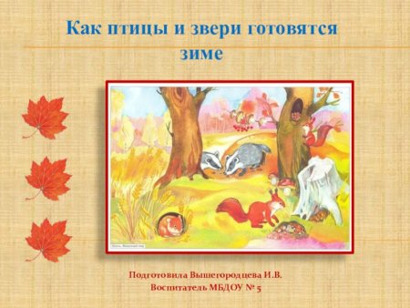 Раскраска на тему леса