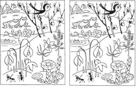 Фон с дикими животными для детей