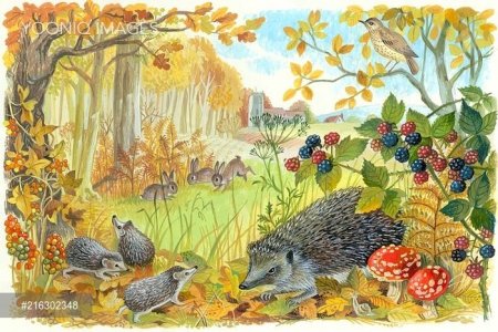 Дикие животные зимой