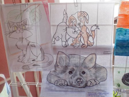 Против жестокого обращения с животными