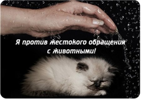 Против жестокого обращения с животными