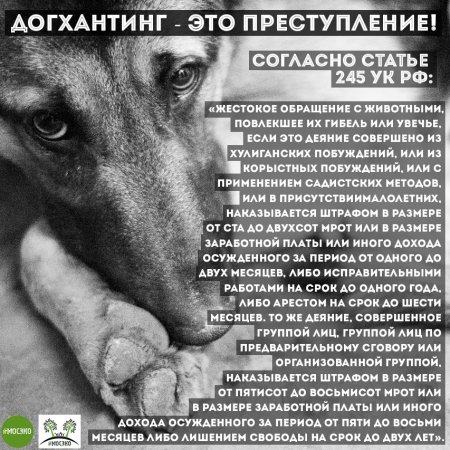 Жестокое обращение с животными