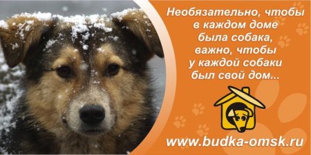 Жестокое обращение с животными