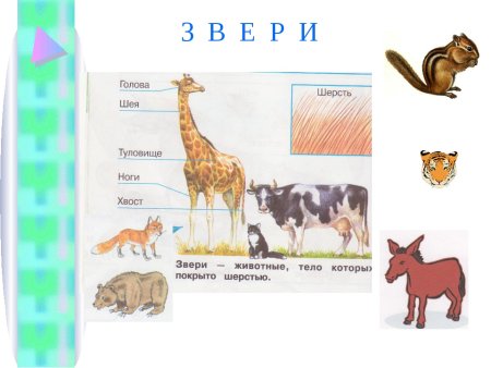 Практическая работа исследуем шерсть зверей