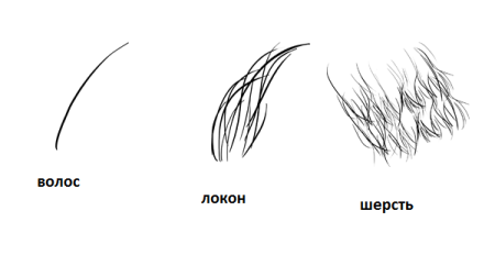 Зарисовать шерсть зверей