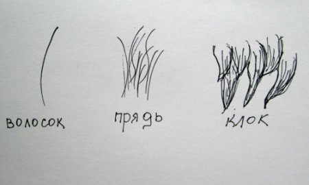 Шерсть зверей окружающий мир