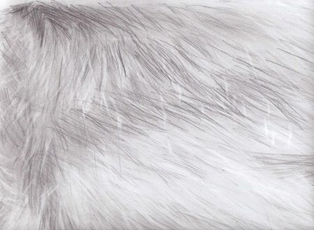 Фактура шерсти карандашом