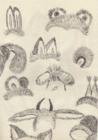 Зарисовки шерсти животных