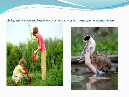 Бережное отношение человека к природе