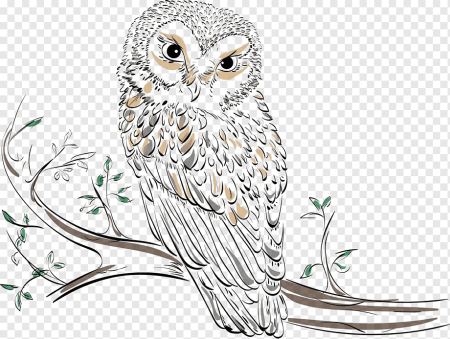 Сова на ветке Графика