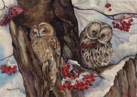 Совы Татьяны Пловецкой