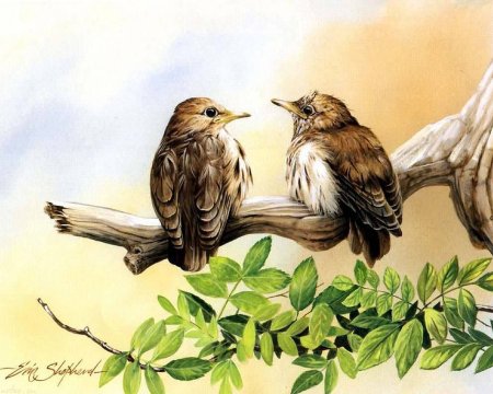 Рисуем птиц