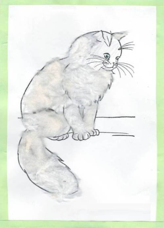 Рисунок любимого животного