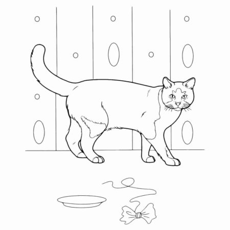 Домашние питомцы. Раскраска