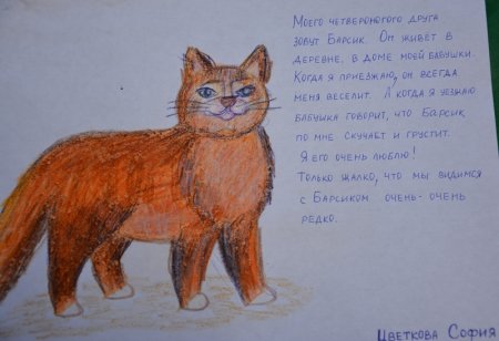 Проект моё любимое животное