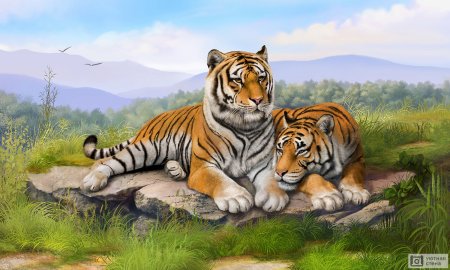 Животные тигр