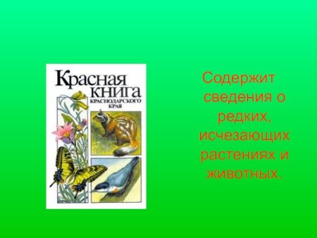 Рисунки редких животных