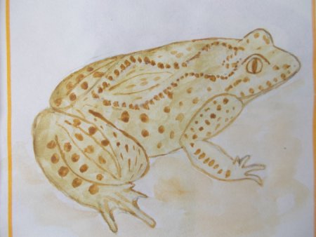 Алтайский горный баран раскраска