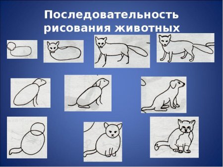 Психологический портрет преступника