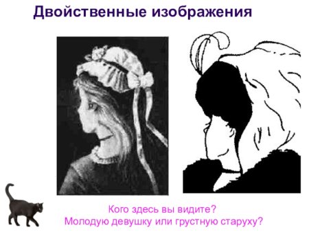 Портрет по пропорциям
